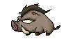 Wild Boar